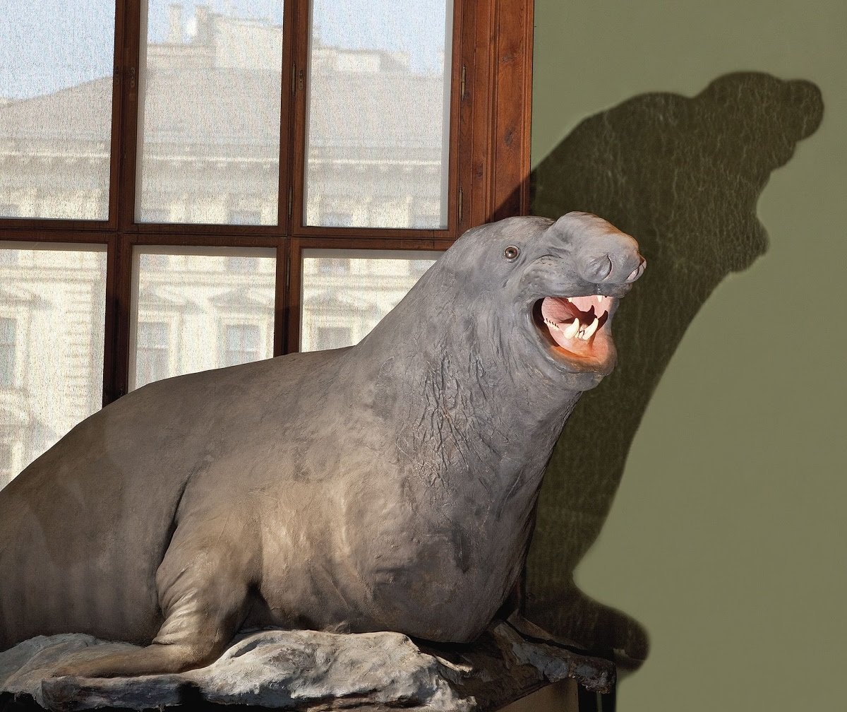 🏛️ 쓰야마 자연 신비관(쓰야마 시젠노 후시기칸) 이미지 8